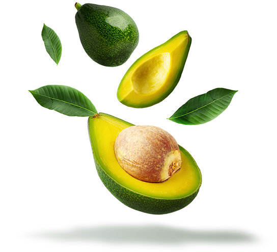 avocado1
