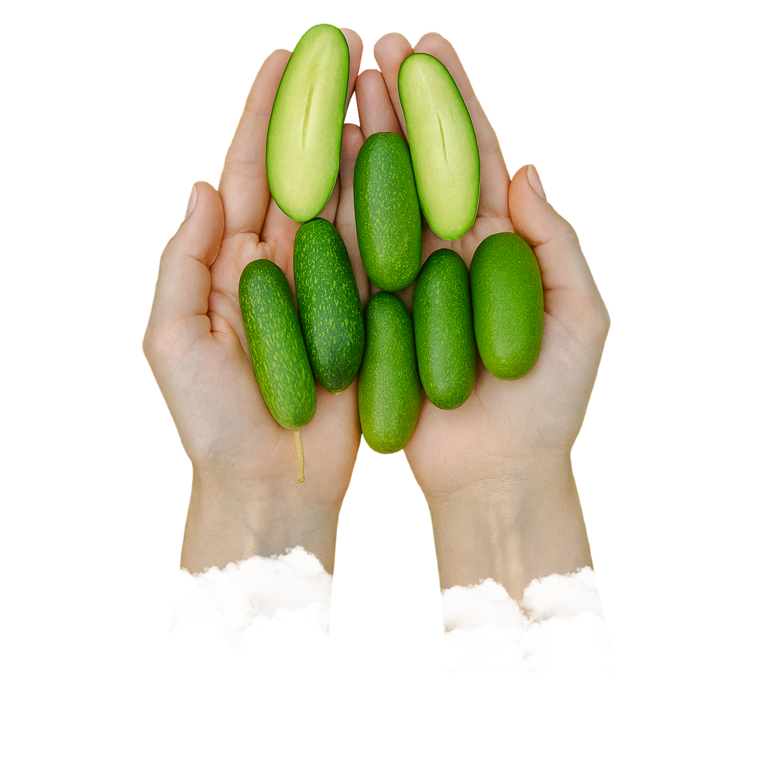 baby-avokado2
