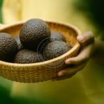 tropikal-türkiye-min