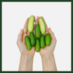 Bebek (Baby) Avokado 500 Gr